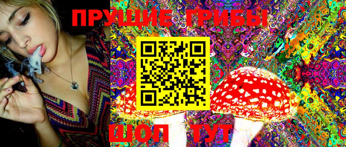 купить наркоту  Вход с VPN  Усть-Джегута  Галлюциногенные грибы Magic Shrooms 